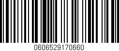 Código de barras (EAN, GTIN, SKU, ISBN): '0606529170660'