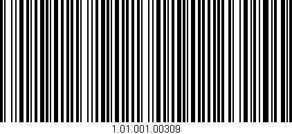 Código de barras (EAN, GTIN, SKU, ISBN): '1.01.001.00309'