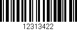 Código de barras (EAN, GTIN, SKU, ISBN): '12313422'