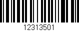 Código de barras (EAN, GTIN, SKU, ISBN): '12313501'