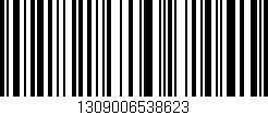 Código de barras (EAN, GTIN, SKU, ISBN): '1309006538623'