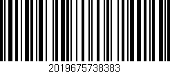 Código de barras (EAN, GTIN, SKU, ISBN): '2019675738383'