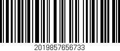 Código de barras (EAN, GTIN, SKU, ISBN): '2019857656733'
