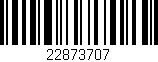 Código de barras (EAN, GTIN, SKU, ISBN): '22873707'