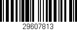 Código de barras (EAN, GTIN, SKU, ISBN): '29607813'