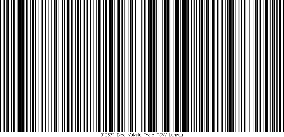 Código de barras (EAN, GTIN, SKU, ISBN): '312677_Bico_Valvula_Preto_TSW_Landau'