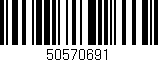 Código de barras (EAN, GTIN, SKU, ISBN): '50570691'