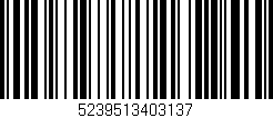 Código de barras (EAN, GTIN, SKU, ISBN): '5239513403137'