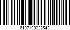 Código de barras (EAN, GTIN, SKU, ISBN): '6107198222543'