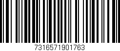 Código de barras (EAN, GTIN, SKU, ISBN): '7316571901763'