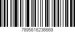 Código de barras (EAN, GTIN, SKU, ISBN): '7895616236669'