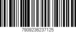 Código de barras (EAN, GTIN, SKU, ISBN): '7909236237125'