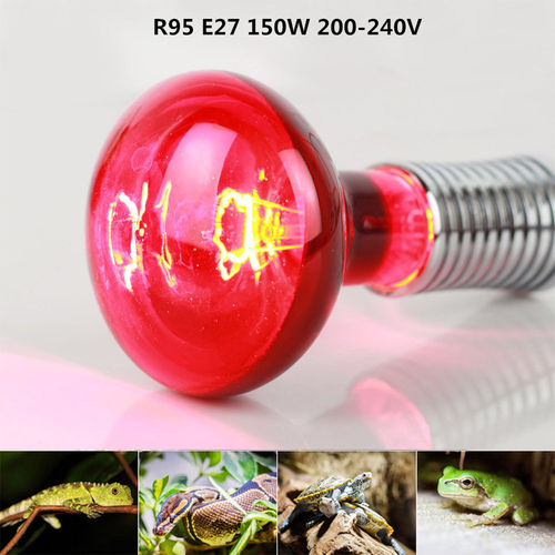 150W R95 Infrared Bulbo para o Lizard Tartaruga Serpente lâmpada de calor