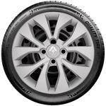 Calota Mod. Original Aro 14 Renault Clio Sandero Logan Santo Andre - Abc - Sp G374