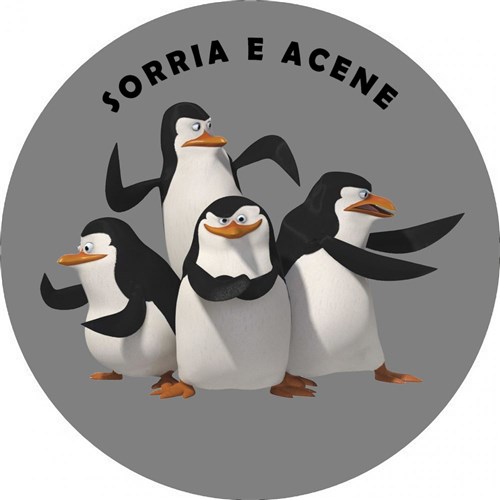 Capa Estepe Crossfox Aircross Doblo Aro 13 a 16 Pinguins