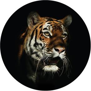 Capa para Estepe Ecosport Fox + Cabo + Cadeado Felino Tigre