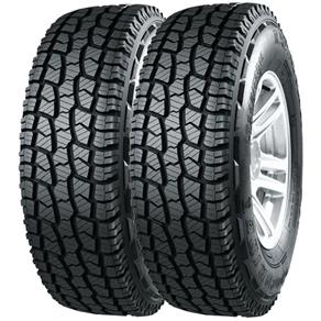 Combo 2 Pneus Space Wagon Ecosport 205/65r15 94h Sl369 At Goodride