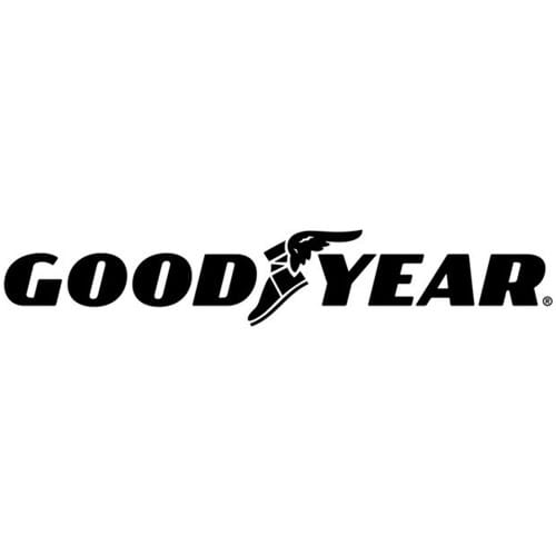 Pneu 225/60r18 Efficientgrip Suv 100v Goodyear Outback 2018 a 2009