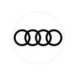 Emblema Calota Resinado 55mm-prata/preto Audi-nk-138305