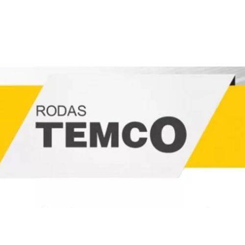 Kit Reparo Cubo Roda Dianteiro Pop 100 - Temco