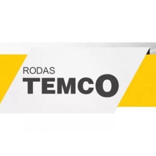 Kit Reparo Cubo Roda Traseiro Pop 100 - Temco