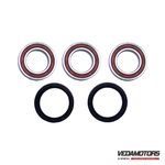 Kit Rolam + Reten Roda Traz Honda Crf 450r (02-16)