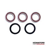 Kit Rolam + Reten Roda Traz Honda Crf 250r (04-17)