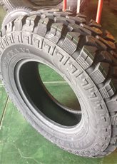 Pneu Pearl River 31x10.5R15 MT 109Q