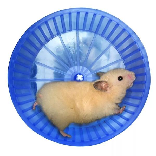 Roda de Exercícios Plástica para Hamster e Semelhantes - Bragança