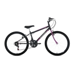 Ficha técnica e caractérísticas do produto Bicicleta Aro 24 Teen 18V Feminina