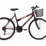 Ficha técnica e caractérísticas do produto Bicicleta Aro 26 Mountain Bike Donna Mormaii Fem. C/ Cesta Violeta