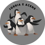 Ficha técnica e caractérísticas do produto Capa Estepe Crossfox Aircross Doblo Aro 13 a 16 Pinguins