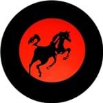 Ficha técnica e caractérísticas do produto Capa Estepe Ecosport Fox + Cabo + Cadeado Cavalo Vermelho