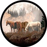 Ficha técnica e caractérísticas do produto Capa Estepe Ecosport Fox + Cabo + Cadeado Cavalos Montanha