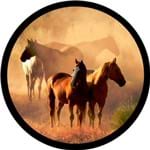Ficha técnica e caractérísticas do produto Capa Estepe Ecosport Fox + Cabo + Cadeado Cavalos Natureza