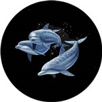 Ficha técnica e caractérísticas do produto Capa Estepe Ecosport Fox + Cabo + Cadeado Golfinhos Mar