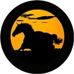 Ficha técnica e caractérísticas do produto Capa Estepe Ecosport Fox com Cabo Cadeado Cavalo Amarelo