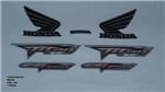 Ficha técnica e caractérísticas do produto Faixa Cg 150 Titan Ks 08 - Moto Cor Prata - Kit 788 - Jotaesse