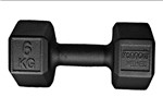 Ficha técnica e caractérísticas do produto Halter Dumbbell Sextavado 6kg (1un.) - Ironnatti Wellness