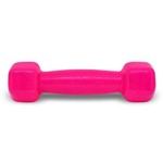 Ficha técnica e caractérísticas do produto Halter Sextavado Emborrachado 1kg - Rosa