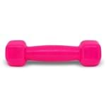 Ficha técnica e caractérísticas do produto Halter Sextavado Emborrachado 1Kg - Rosa