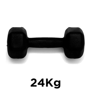 Ficha técnica e caractérísticas do produto Halter Sextavado Emborrachado - 24Kg 24kg