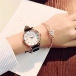 Ficha técnica e caractérísticas do produto Mulheres Moda Couro Grande Dial Luxo Tecido Strap relógio de quartzo Relógio de pulso