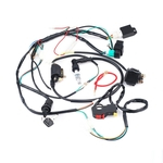 Ficha técnica e caractérísticas do produto Para 50 70 90 110CC ATV Quad Gokart completa Electrics Fio da bobina CDI Fiação Set Em estoque