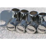 Ficha técnica e caractérísticas do produto Valvulas de Ar Antifurto Tryumph Triumph Moto Novas